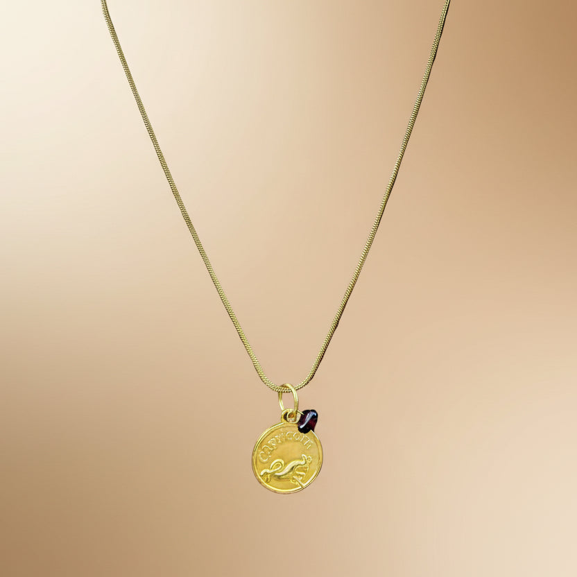 Capricorn Zodiac Necklace — Garnet (January)